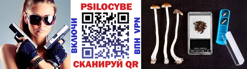 Псилоцибиновые грибы мицелий Ишимбай