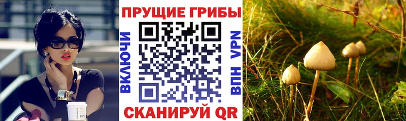 Псилоцибиновые грибы мухоморы  omg онион  Ишимбай  как найти  